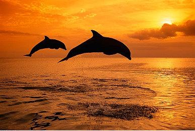 壕运成双，惊喜不断！点燃烟花庆双节